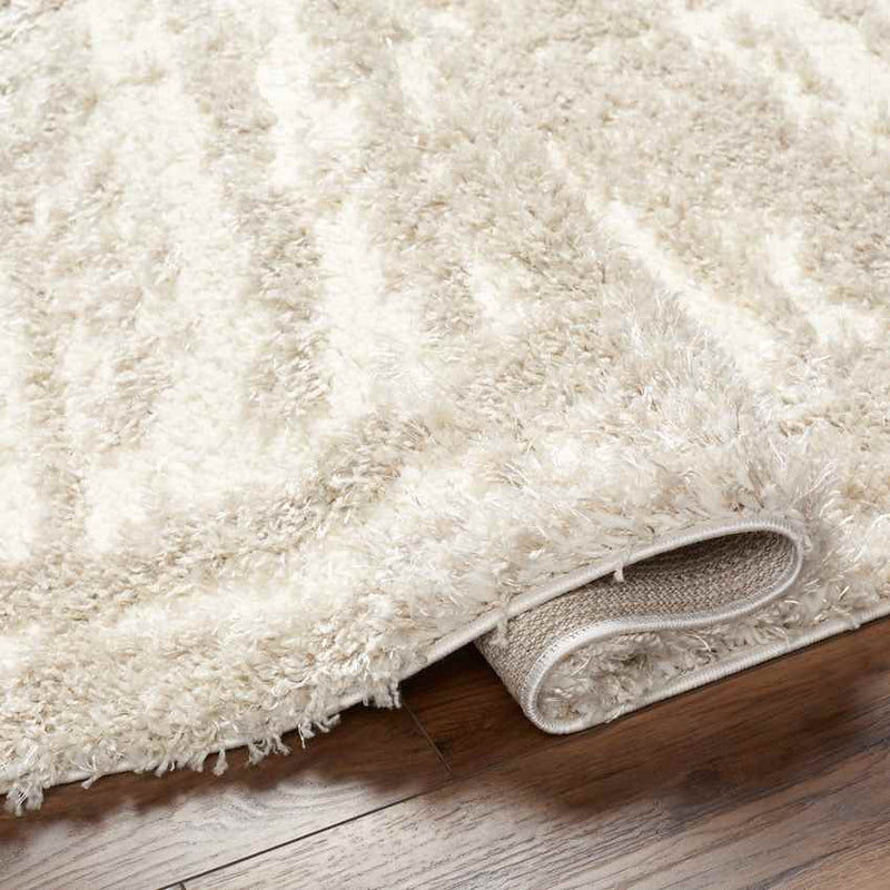 Takendra Modern Tan/Cream Area Rug