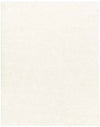 Charon Modern Ivory Area Rug