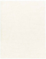 Charon Modern Ivory Area Rug