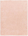 Charon Modern Coral Area Rug