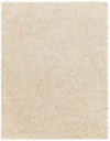Charon Modern Beige Area Rug