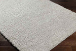Charon Modern Silver Gray Area Rug