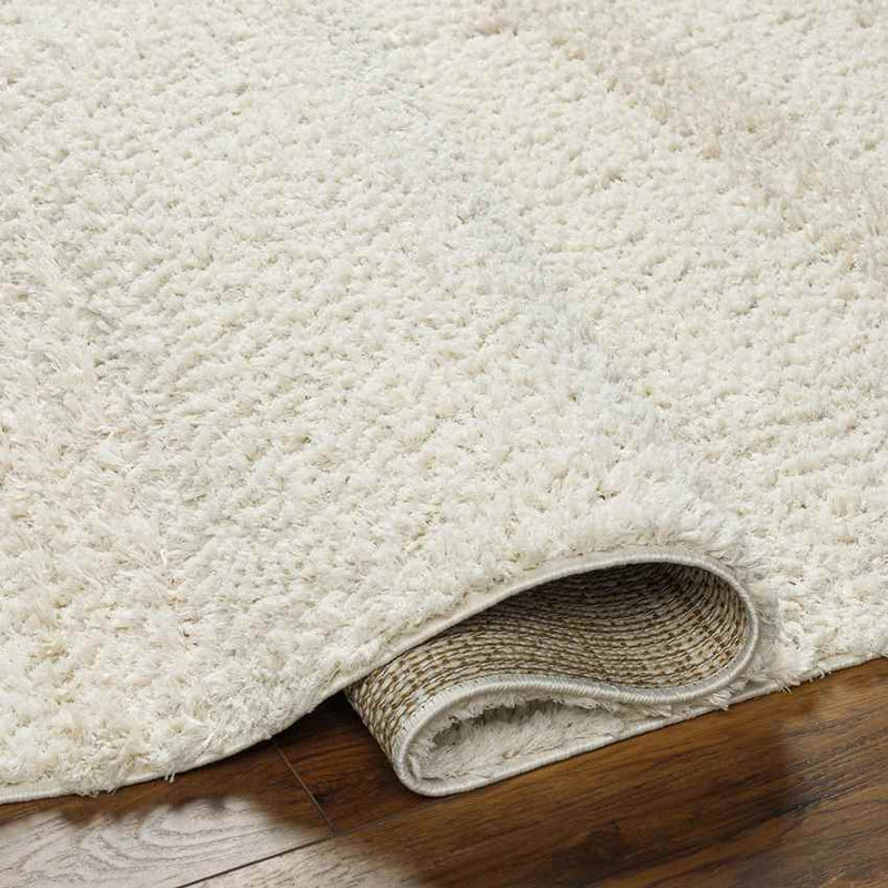 Javaris Modern Beige/Cream Area Rug
