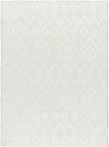 Gullermo Modern Ivory Area Rug