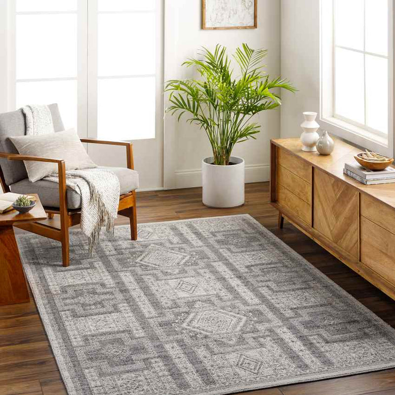 Amaris Global Light Gray Area Rug