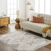 Shequila Global Light Gray Area Rug