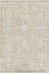 Arti Traditional Camel Area Rug