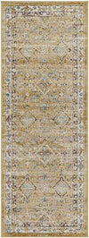Jerime Traditional Amber Area Rug