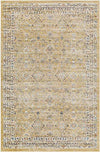 Jerime Traditional Amber Area Rug