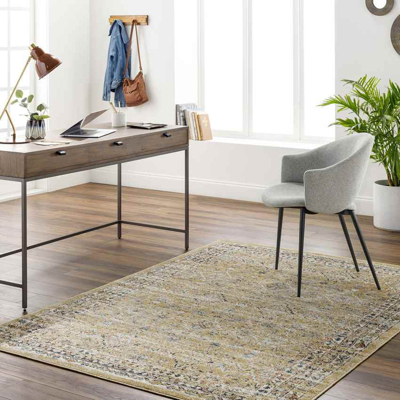 Jerime Traditional Amber Area Rug