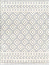 Shatora Modern Light Gray Area Rug