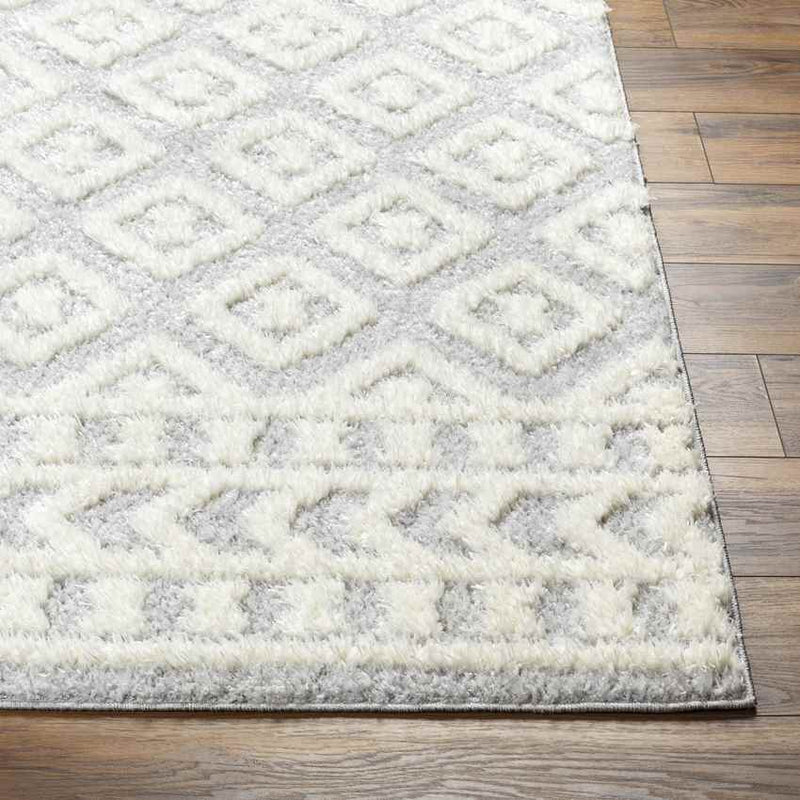 Shatora Modern Light Gray Area Rug