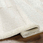 Crysal Modern Beige/Ivory Area Rug