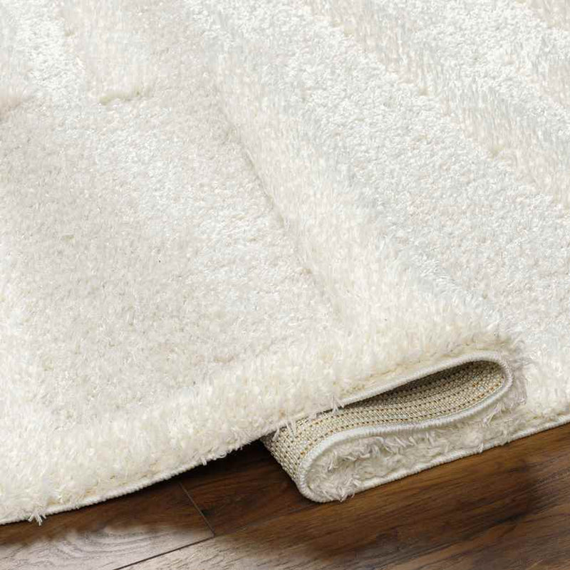 Crysal Modern Beige/Ivory Area Rug