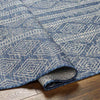 Christophr Global Navy/Cream Area Rug