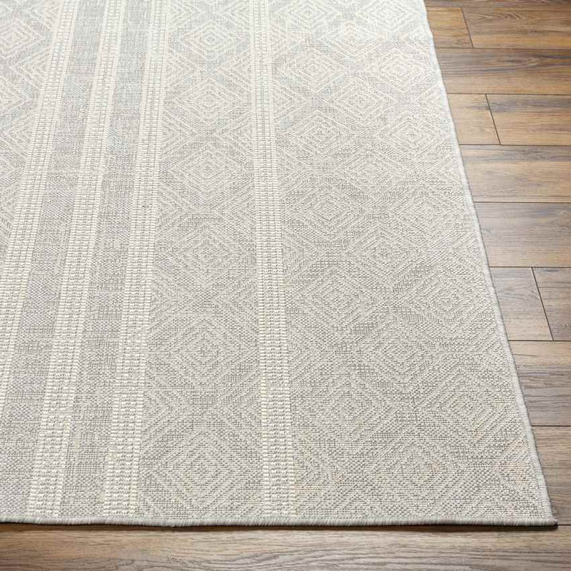 Christophr Global Light Gray/Cream Area Rug
