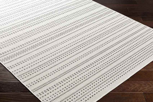Biagio Modern Black/Cream Area Rug