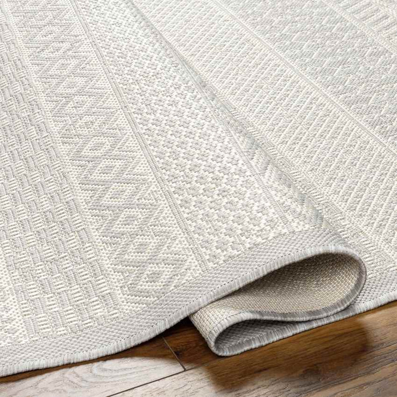 Charle Modern Light Gray/Beige Area Rug