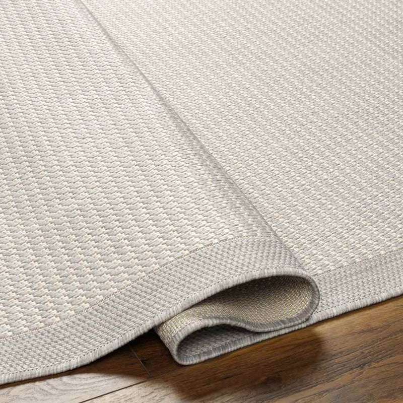 Camillia Modern Light Gray/Ivory Area Rug