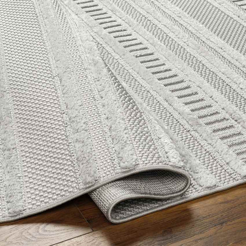Eugenia Modern Taupe/Light Gray Area Rug