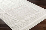 Eryca Modern Beige Area Rug