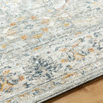 Stepfon Traditional Medium Gray Area Rug