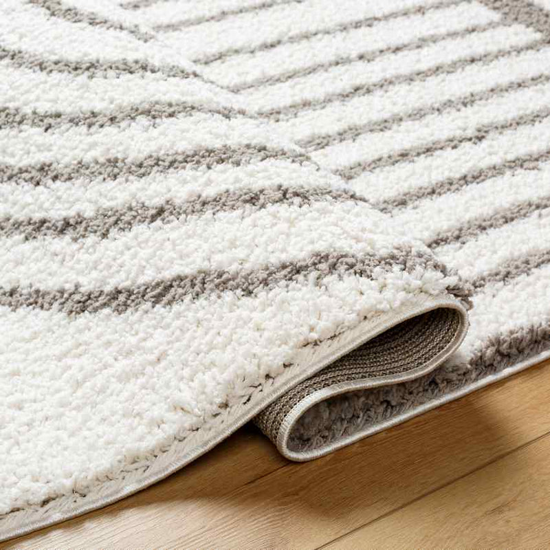 Dainelle Global Light Gray Area Rug