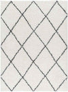 Erineo Modern Cream/Medium Gray Area Rug