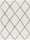 Erineo Modern Cream/Medium Gray Area Rug