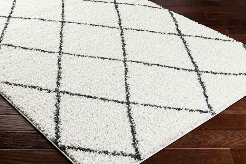 Erineo Modern Cream/Medium Gray Area Rug