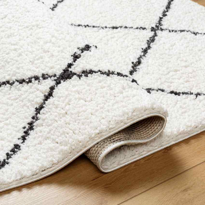 Erineo Modern Cream/Medium Gray Area Rug