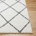 Erineo Modern Cream/Medium Gray Area Rug