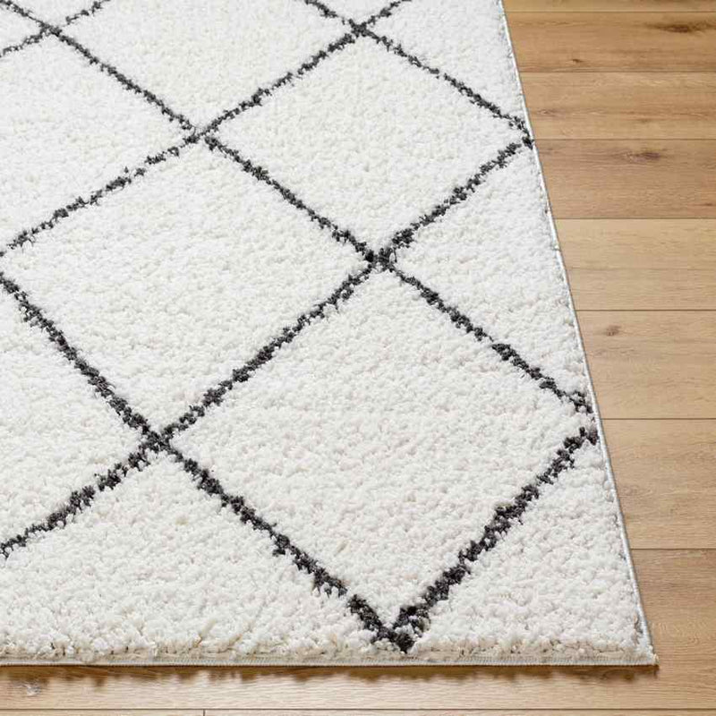 Erineo Modern Cream/Medium Gray Area Rug