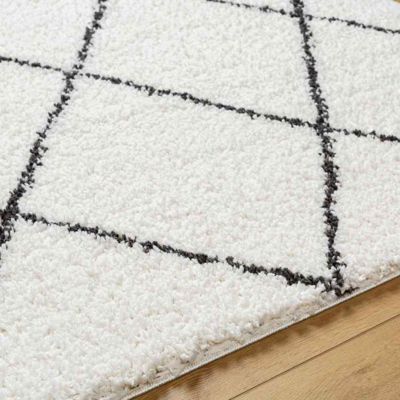 Erineo Modern Cream/Medium Gray Area Rug