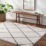 Erineo Modern Cream/Medium Gray Area Rug