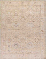 Marlene Traditional Medium Brown Area Rug - Becki Owens x Livabliss