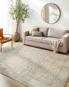 Marlene Traditional Medium Brown Area Rug - Becki Owens x Livabliss