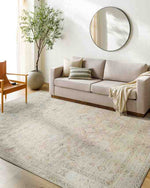 Marlene Traditional Medium Brown Area Rug - Becki Owens x Livabliss
