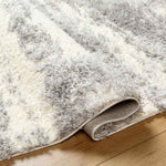 Evetta Modern Light Gray Area Rug