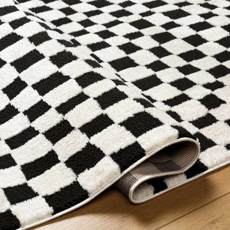 Ilea Modern Black/Ivory Area Rug