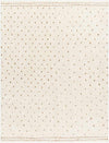 Monisha Modern Ivory/Brown Area Rug