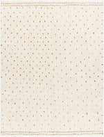Monisha Modern Ivory/Brown Area Rug