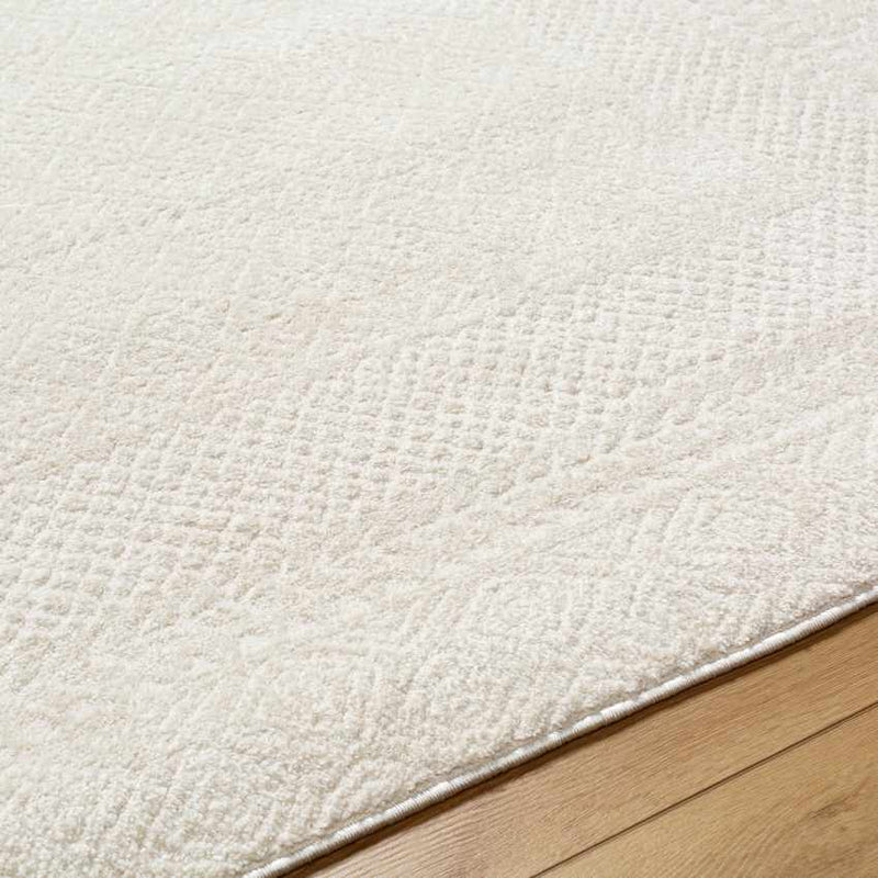 Vada Modern Ivory/Off-White Area Rug