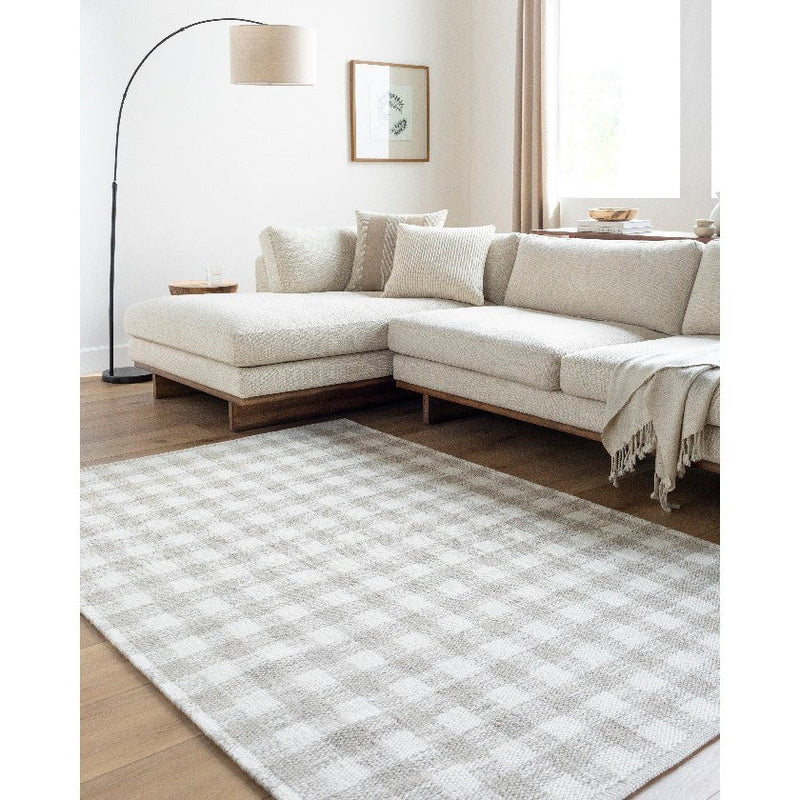 Jamaris Solid and Border Light Grey Area Rug