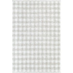 Jamaris Solid and Border Light Grey Area Rug