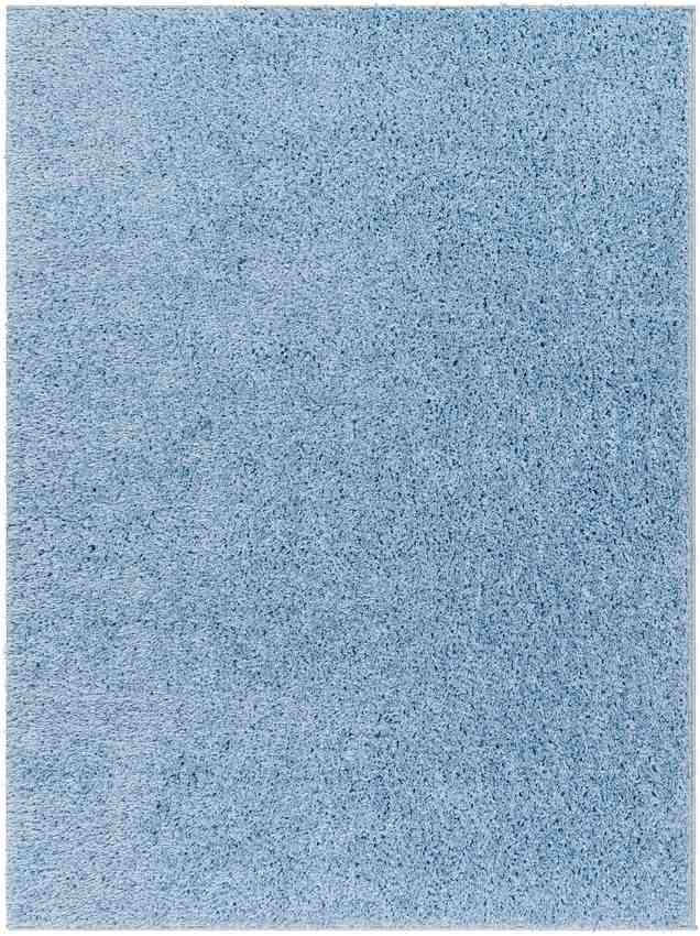 Charon Shag Denim Area Rug