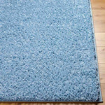 Charon Shag Denim Area Rug