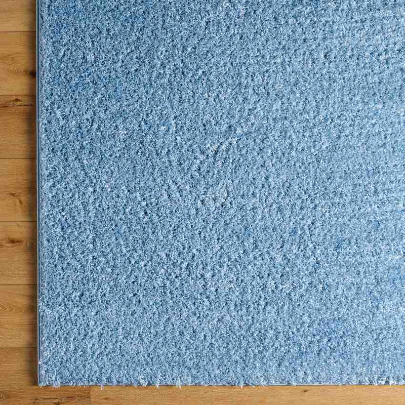 Charon Shag Denim Area Rug