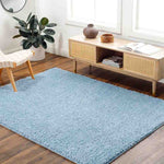Charon Shag Denim Area Rug