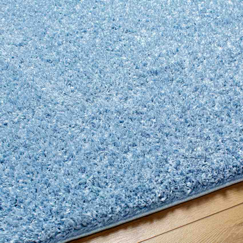 Charon Shag Denim Area Rug